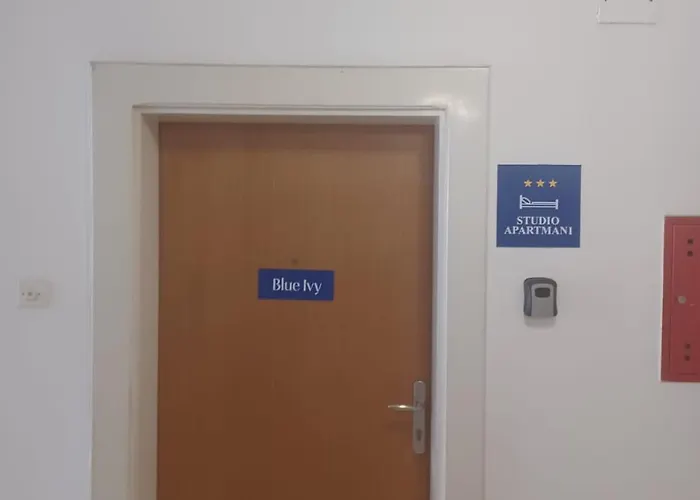 Blue Ivy Lejlighed *