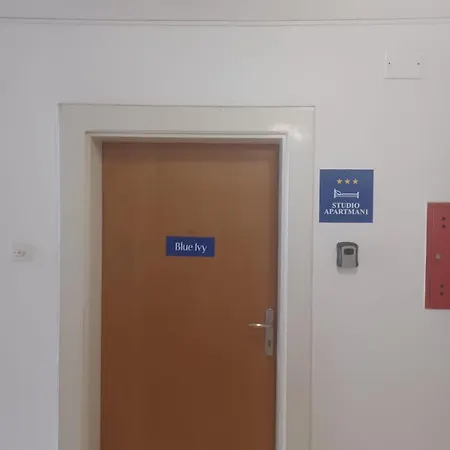 Blue Ivy Apartman *